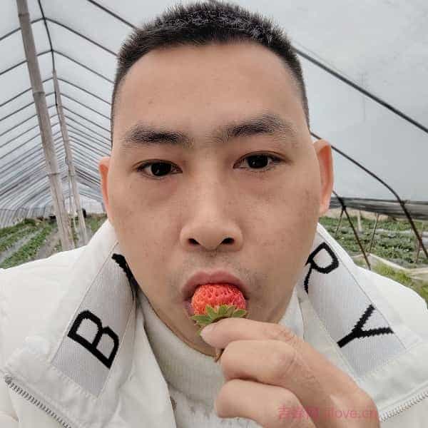 38岁岁贵州单身帅哥 - 枣庄吉缘网