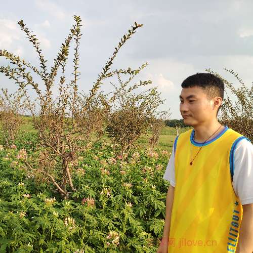 37岁岁广东单身帅哥 - 枣庄吉缘网